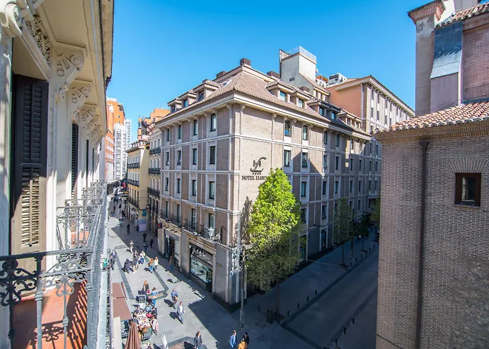 Petit Palace PreciadosAlbergo